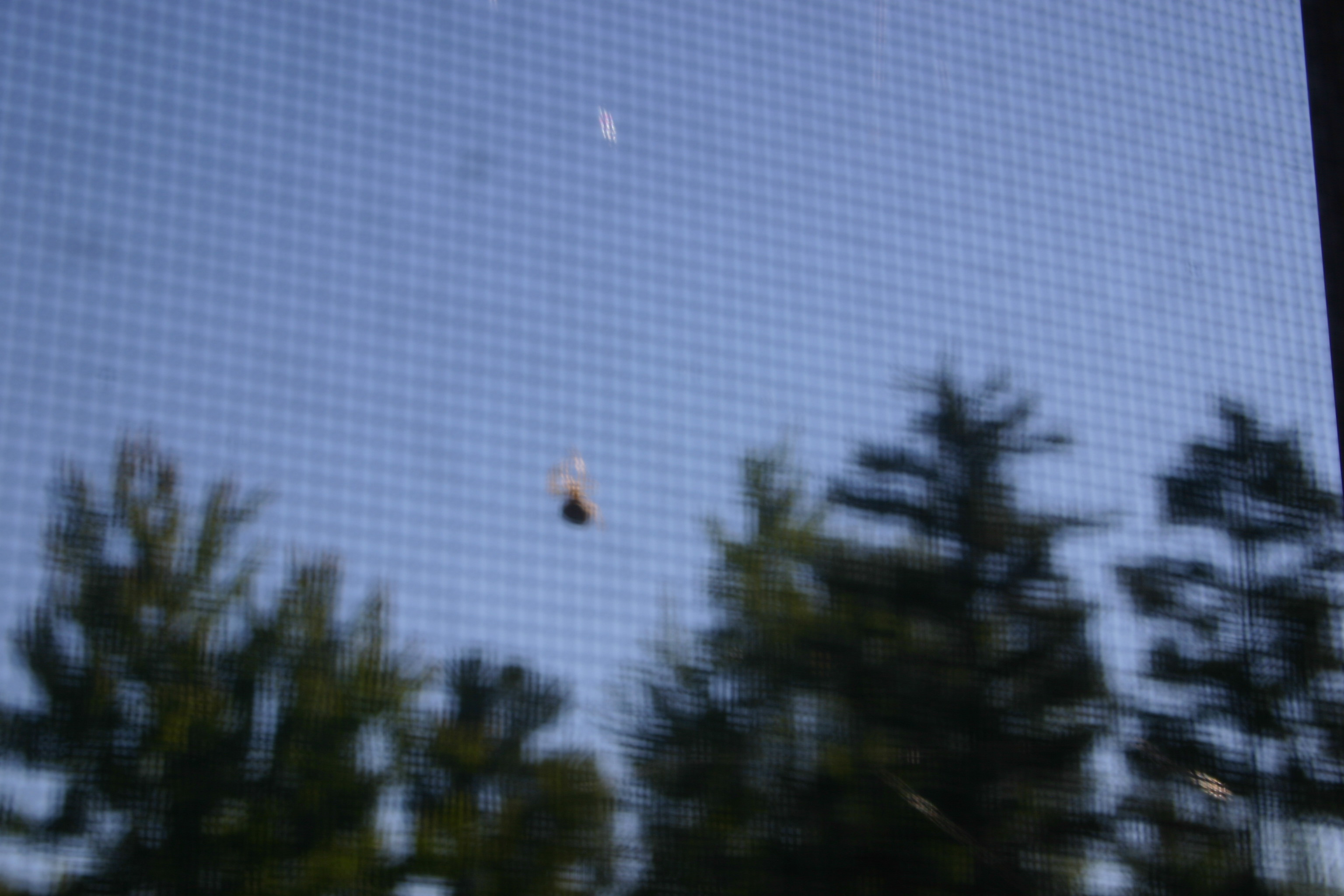 picture 21.